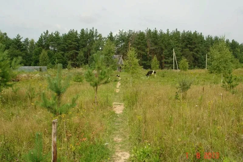 земельный участок 20га в Калужской обл в Мосальске