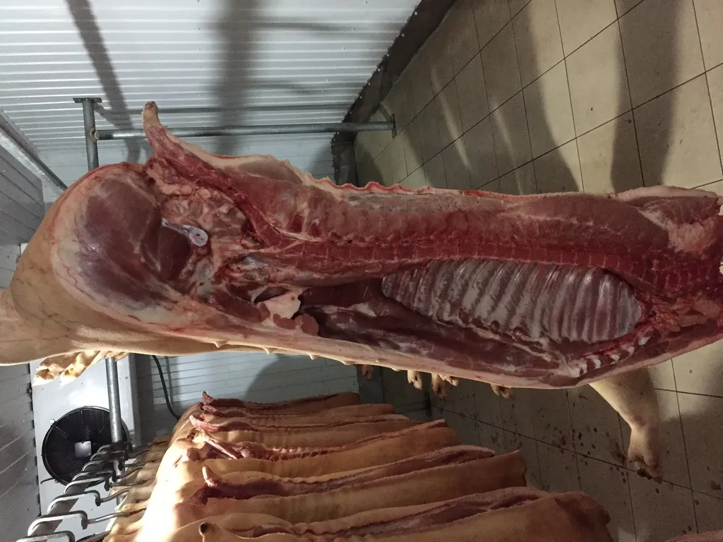 мясо охлажденное свинина в Калуге